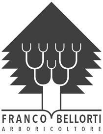 Franco Bellorti